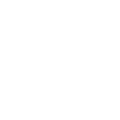 Bullseye Icon