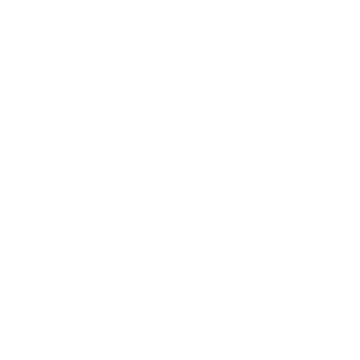 Wallet Icon