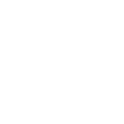 Wallet Icon