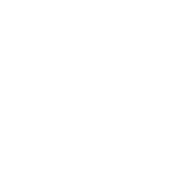 Wallet Icon