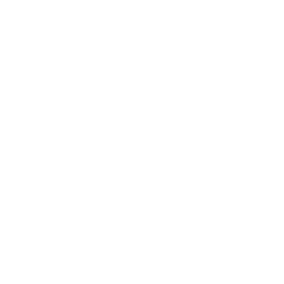Bullseye Icon